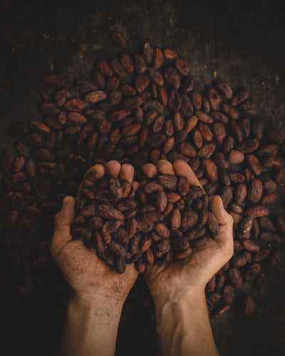 Cocoa and Chocolate: 5 Reasons an Endurance athlete should CARE.