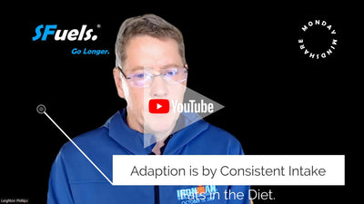 Part2. Beyond Zone2 Workouts. Fat in the diet to Maximize Fat-Oxidation. 4 Best Practices.