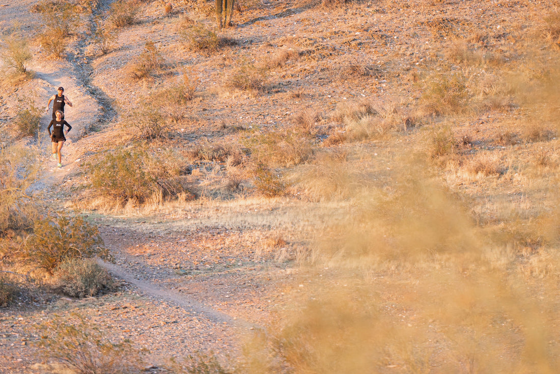 Carnitine (PART 1): Increasingly relevant for an Endurance Metabolism.